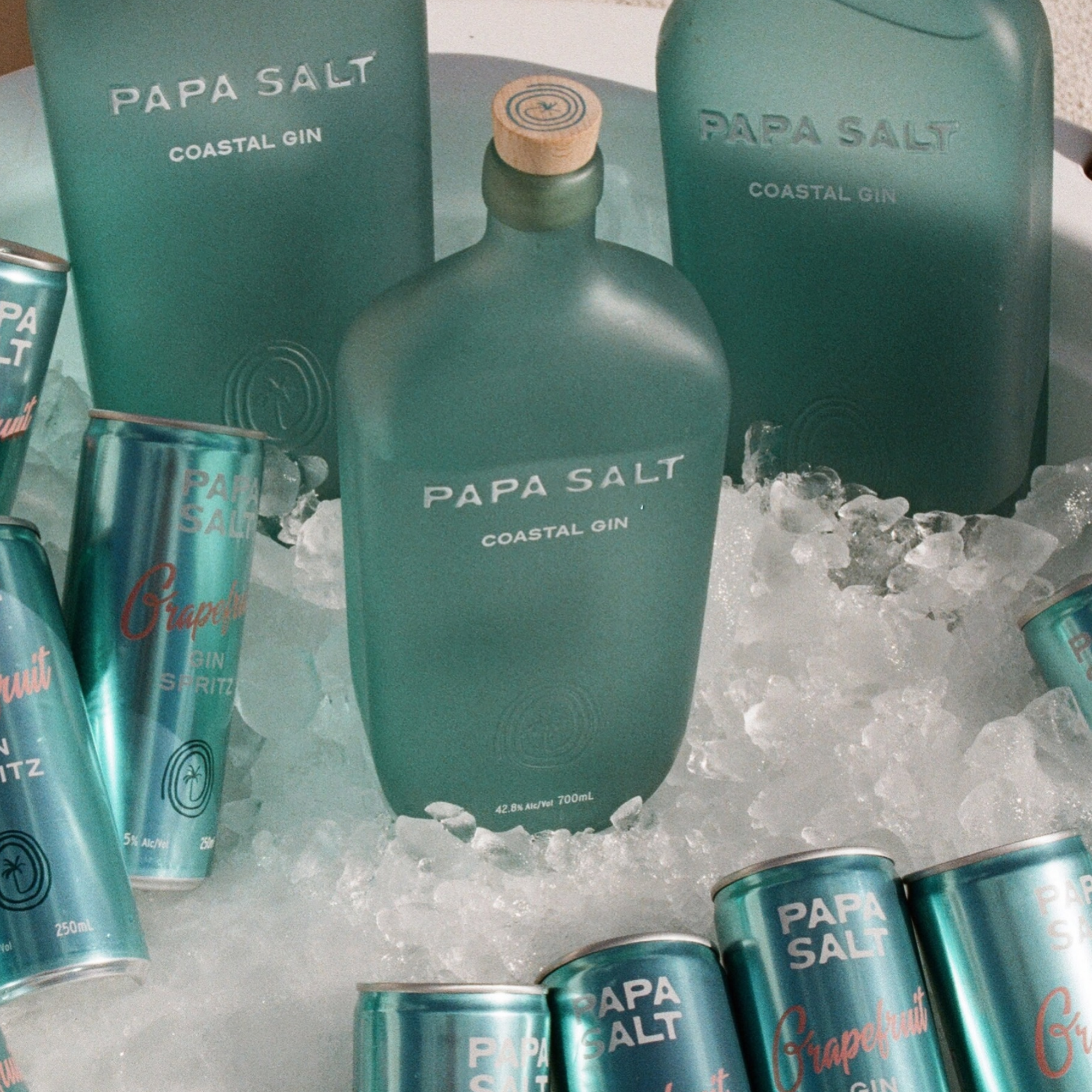 Enterprise Vision Awards Drinks Partner Papa Salt 1